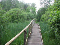 5. Мост через ручей N1
